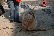Sculture_Cavino_ 2009 (7)